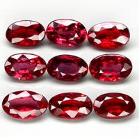 ������ ( 11 ����)