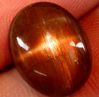 ������� ( ��������� ������)