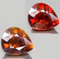 ���� ��������