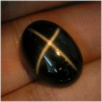 ���������� �������