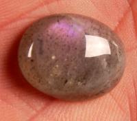 ������� ����������