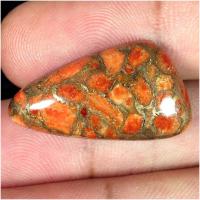 ������������ ��������� ������� � �������