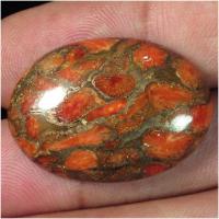 ������������ ��������� ������� � �������