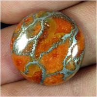 ������������ ��������� ������� � ���������