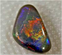 ���� ������