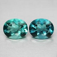 ���� ��������� �������