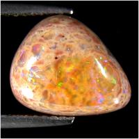 ������������ �������� ������� ����