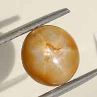 ������ ���������� ������