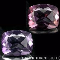 ���������������  �������